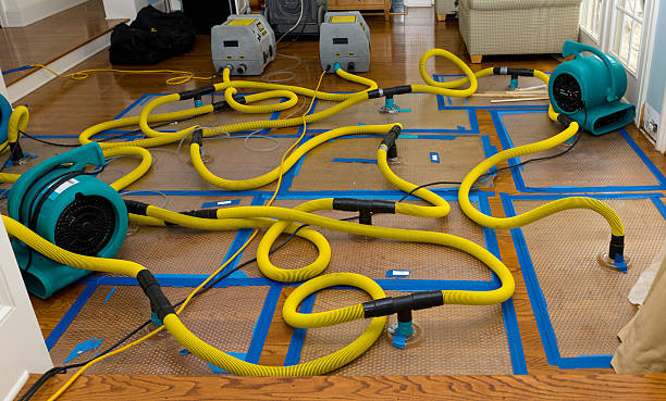 Professional Crawl Space Water Removal technician working in Emeryville, CA
